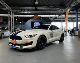 FORD MUSTANG V8 5.2 533CV