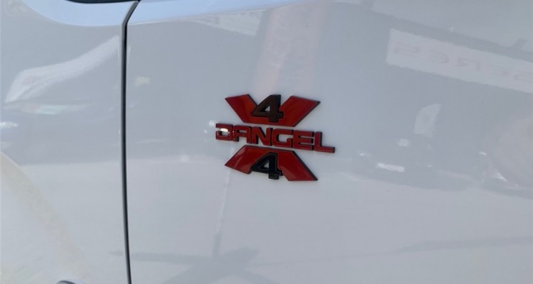 DANGEL PARTNER