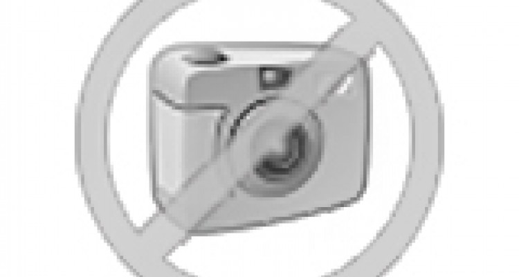 FORD TRANSIT CONNECT II