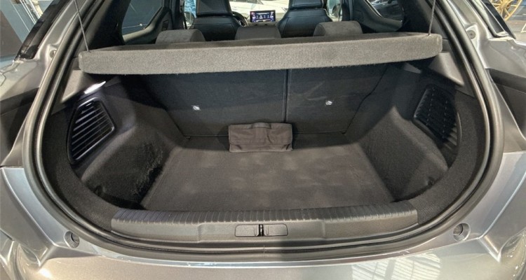DS DS 3 CROSSBACK